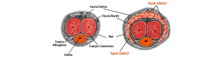 instituto-de-urolog-a-sexolog-a-y-ets